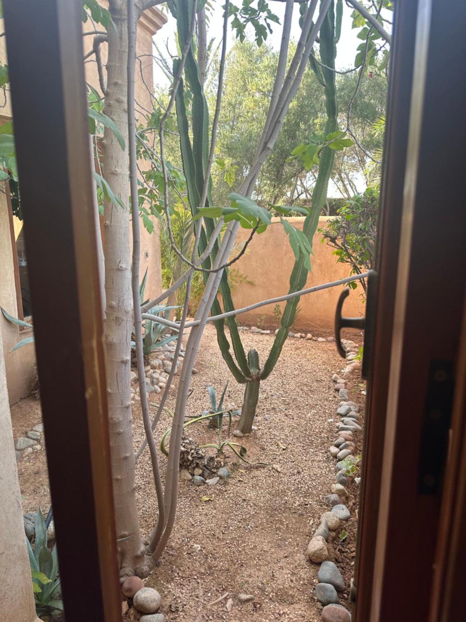 Palais Farah Hotel Marrakesh Eksteriør billede